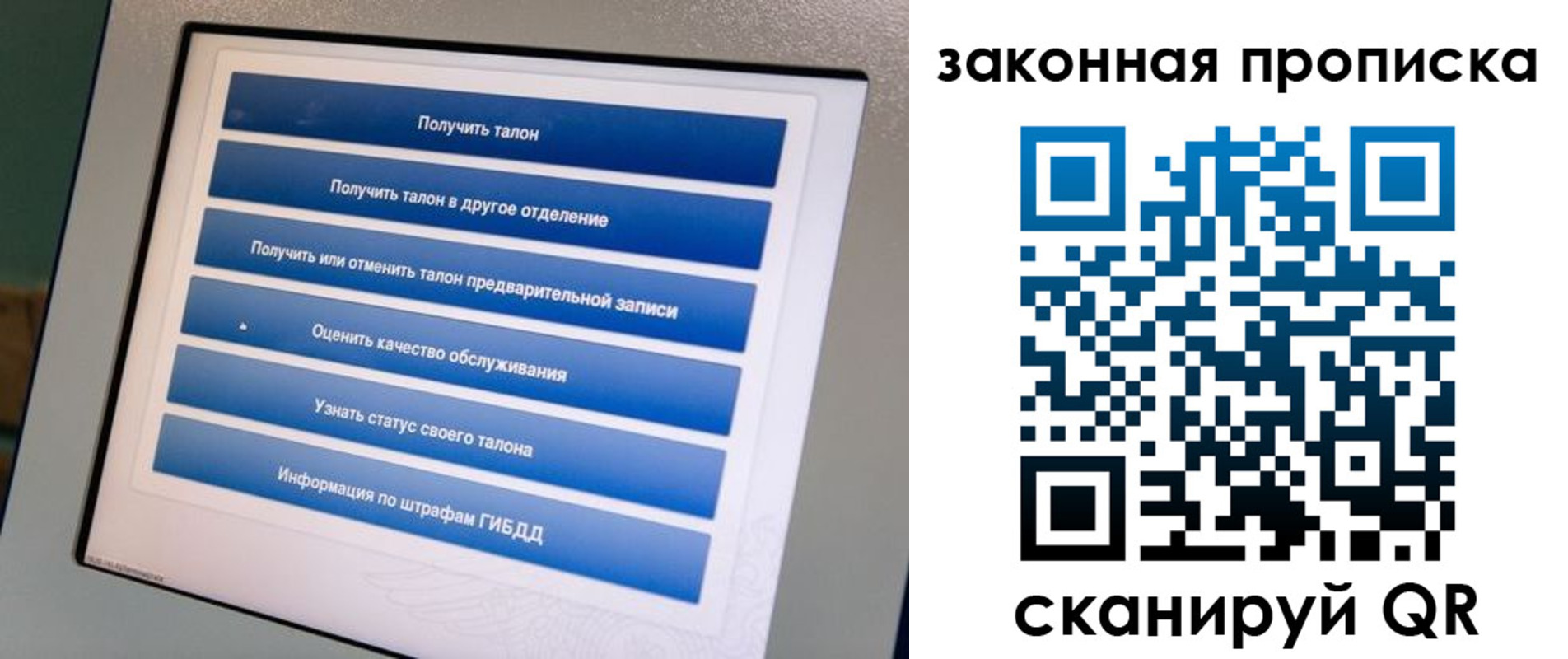 прописка 2025 в Чкаловске